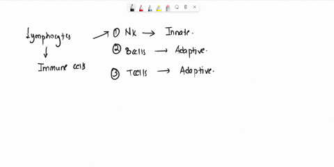 quuestion-5-uuniene-one-ofthe-followings-are-the-organs-where-lymphocyte-cells-are-complete-their-differentiation-synthesised-and-developed-into-mature-cells-t0-spleen-thyroid-gland-spleen-t-05376