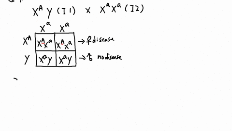 bio-340-activity-3-i-dont-understand-how-to-figure-out-this-worksheet-bio-340-activity-3trihybrid-crossesprobabilityand-pedigreespage-2-of-2-namelastfirst-lllgiven-the-following-pedigree-bel-46514