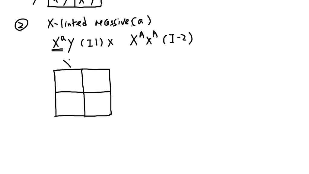 Solved Given The Following Pedigree Below Use Punnett Squares For