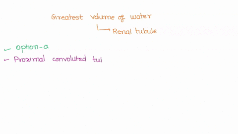 the-greatest-volume-of-water-is-reabsorbed-from-the-renal-tubuleby-thea-proximal-convoluted-tubule-c-distal-convoluted-tubuleb-loop-of-henle-d-collecting-duct-15773