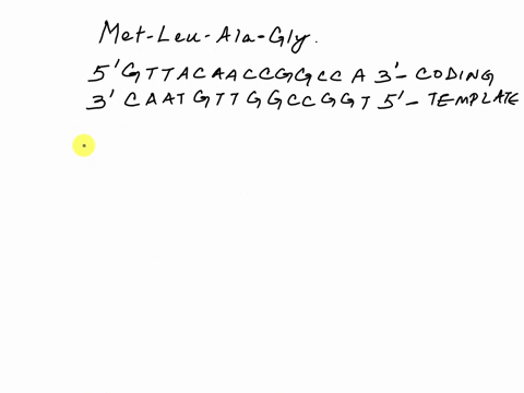 a-peptide-fragment-met-leu-ala-gly-is-encoded-by-the-following-dna-sequence-strand_-gttacaaccggcca-strand-b-caatgttggccggt-a-which-strand-is-the-template-strand-b-indicate-the-3-and-ends-of-62413