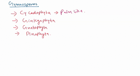 8-which-of-the-following-filumes-does-not-belong-to-gymnosperms-select-one-a-gnetophyta-b-anthophyta-c-cycadophyta-d-ginkgophyta-89396
