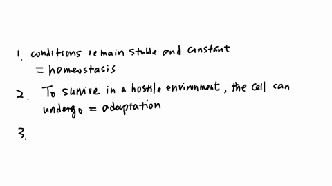 our-cells-actively-control-the-composition-of-their-immediate-environment-and-intracellular-milieu-within-a-narrow-range-of-physiological-parameters-this-way-conditions-remain-stable-and-relatively-2