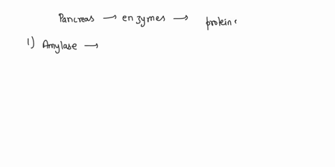 what-enzymes-are-produced-by-the-pancreas-76165