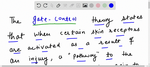 the-_______-theory-states-that-when-certain-skin-receptors-are-activated-as-a-result-of-an-injury-a-31655