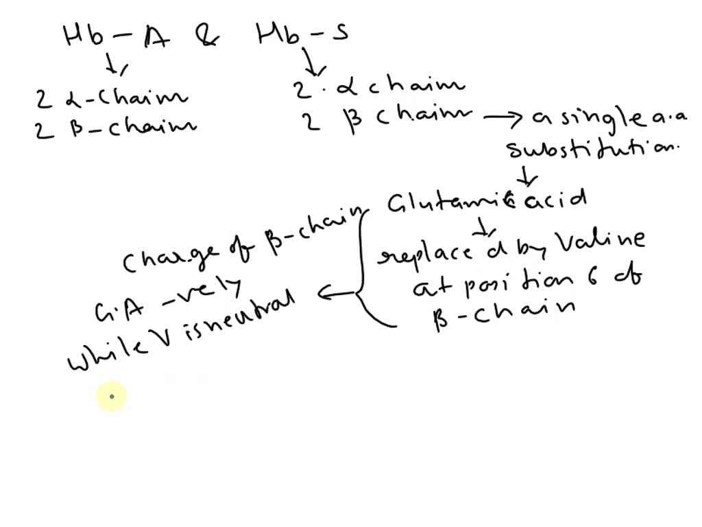 SOLVED what is the abbreviation for hemoglobin and what is the normal