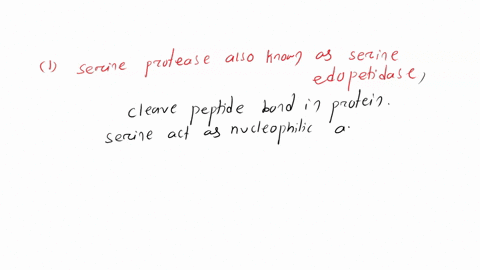 16-pts-shown-below-is-substrate-for-elastase-a-what-is-this-serine-protease-enzyme-commission-class-b-draw-the-mechanism-for-this-serine-protease-using-the-artificial-substrate-be-sure-t0-dr-90188