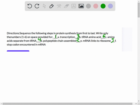 directionssequence-the-following-steps-in-protein-synthesis-from-first-to-last-write-only-thenumbers-1-6-on-space-provided-for-____a-transcription____b-trna-amino-acid____c-amino-acids-separ-09754