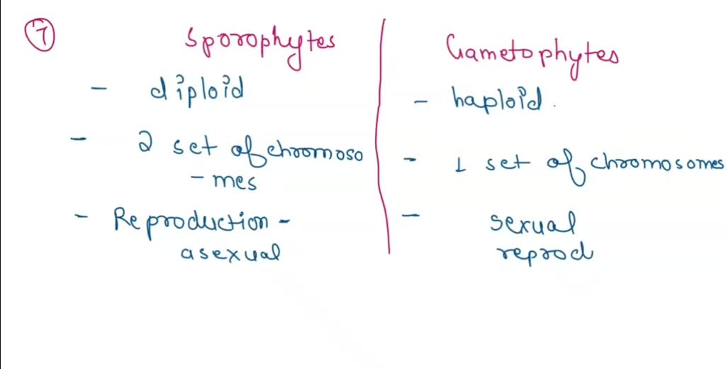 solved-in-liverworts-how-do-the-positions-of-the-archegonium-and