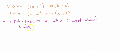 if-the-forward-mutation-rates-for-two-alleles-at-a-locus-is-00001-and-the-reverse-mutation-rate-is-000004-per-generation-and-the-allele-frequencies-for-the-dominant-and-recessive-alleles-are-89149