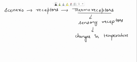 partc-while-ironing-his-shirt-ben-accidentally-touches-his-hand-with-the-hot-ironwhich-of-the-following-receptors-is-activated-most-strongly-thermoreceptors-chemoreceptors-omechanoreceptors-59274