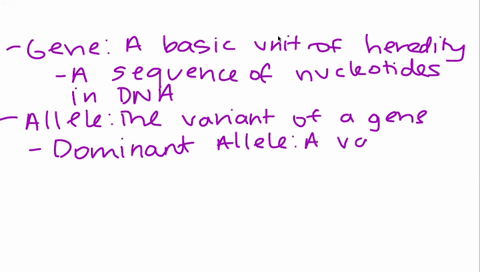what-is-a-genewhat-is-an-allelewhat-are-dominant-and-recessive-alleleswhat-is-the-genotype-of-an-organismwhat-is-a-traitwhat-is-the-phenotype-of-an-organism-07805