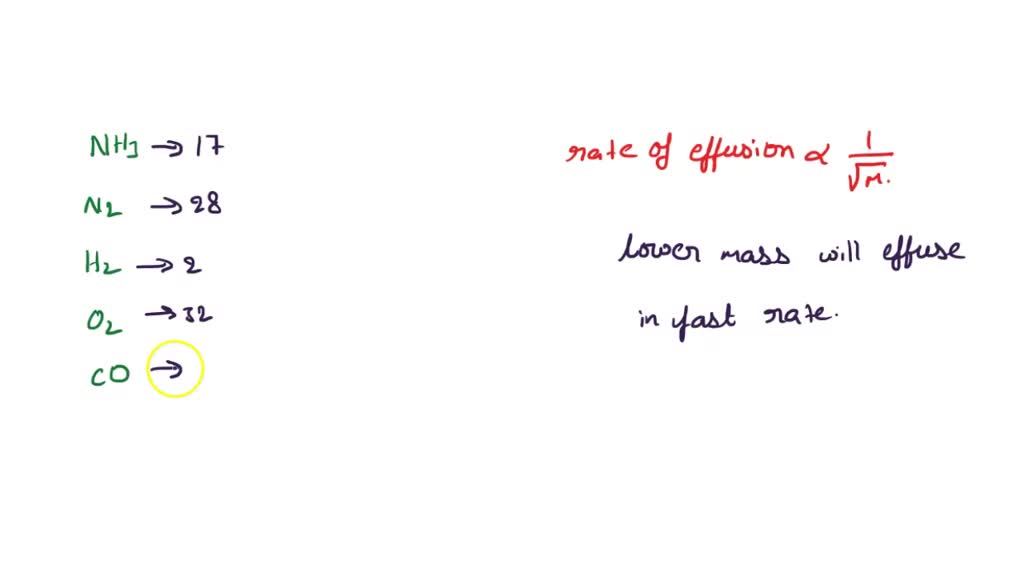 SOLVED Which of the following gases effuses the slowest? nitrogen gas