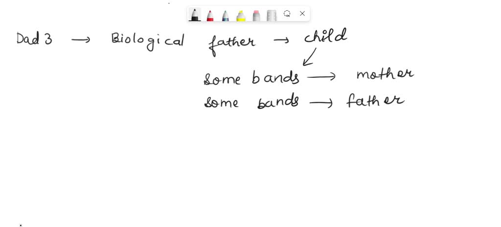 SOLVED: Exercise C: Data Interpretation of Gels (Forensics, Paternity ...