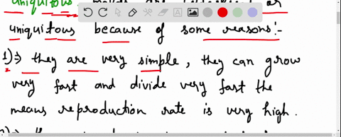 what-observable-structure-of-molds-makes-them-ubiquitous-or-widespread-71264