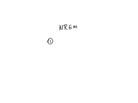nrem-sleep-is-a-period-of-sleep-________-question-39-options-1-associated-with-lucid-dreaming-2-outside-periods-of-rem-sleep-3-that-always-occurs-immediately-after-rem-sleep-4-that-overlaps-rem-sleep