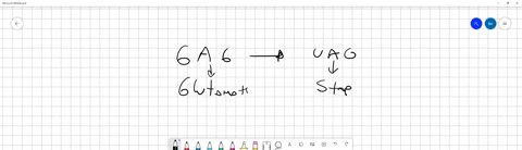 if-a-protein-coding-gene-under-goes-a-mutation-gag-is-changed-to-uag-stop-what-kind-of-mutation-is-it-nonsense-silent-frameshift-or-missense-58778