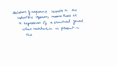 in-an-effort-to-determine-the-location-of-an-operator-site-for-a-negatively-regulated-gene-you-have-78018