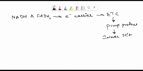 q10-homework-unanswered-in-the-electron-transport-chain-the-amount-of-atp-generated-by-electrons-from-an-nadh-molecule-is-more-than-the-amount-of-atp-generated-by-electrons-from-an-fadhz-mol-34876