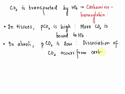 hemoglobin-is-not-a-good-carrier-of-carbon-dioxide-carbon-dioxide-is-converted-into-______-before-it-is-transported-to-the-alveoli-multiple-choice-carbon-monoxide-carbonic-acid-bicarbonate-i-03294