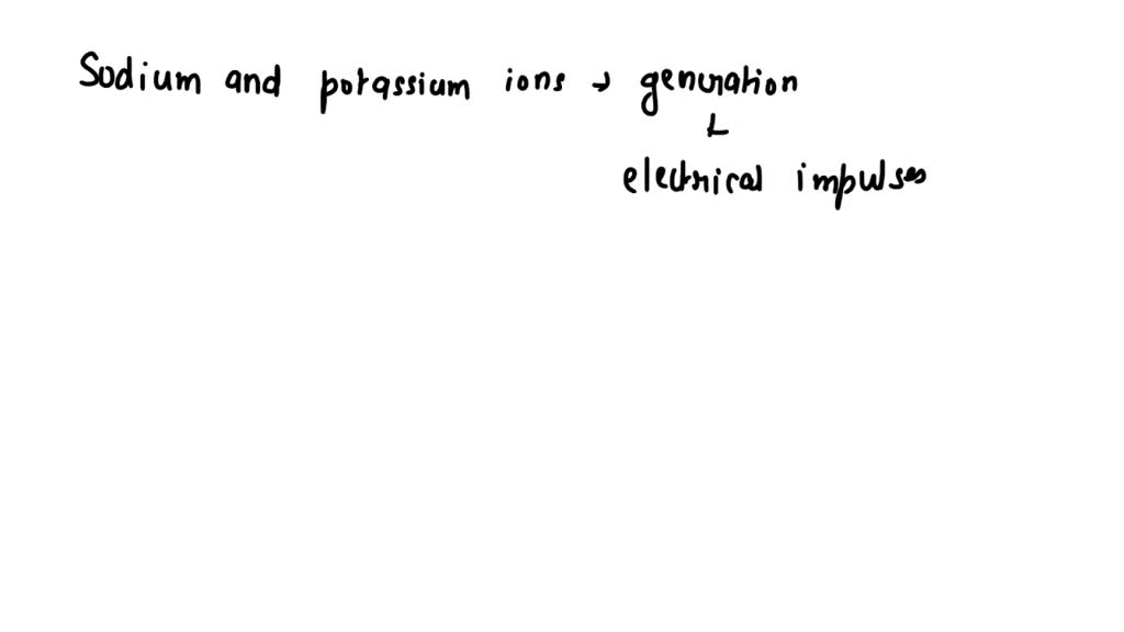 SOLVED Describe the role that sodium ions and potassium ions play in