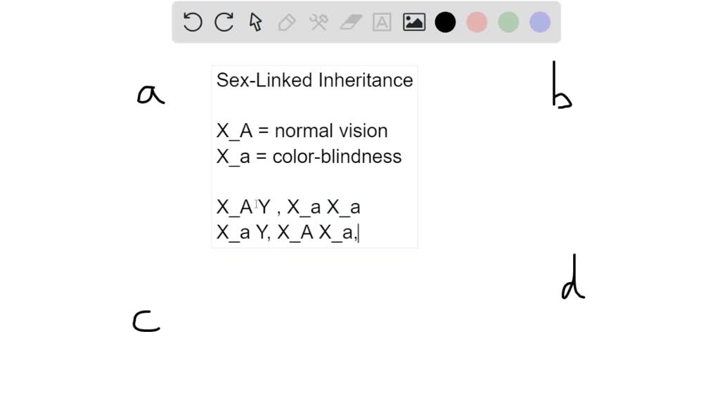 05 sex-linked inheritance