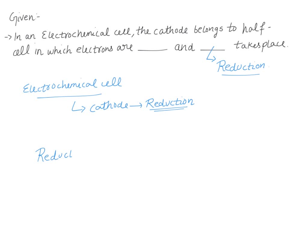 SOLVED: Question 3 (2 points) Match the terms related to ...