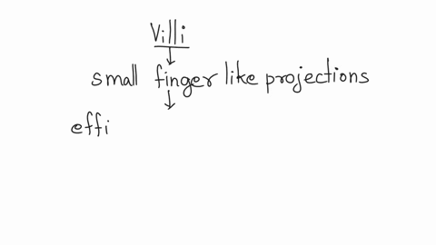 villi-are-located-in-the-a-small-intestine-b-large-intestine-c-stomach-d-none-of-these-69334