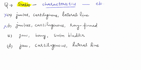 which-are-characteristics-of-sharks-a-jawless-cartilaginous-skeleton-lateral-line-b-jawless-cartilag-55679