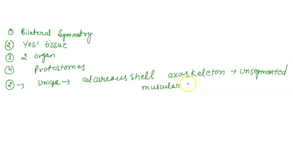 SOLVED: Part 5: Phylum Mollusca List the characteristics of the Phylum ...