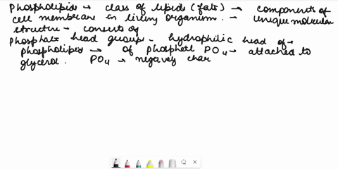 the-molecular-structure-belw-represents-a-0-o-c-h-h-h-n-c-c-o-h-c-0-c-ch-h-a-fatty-acld-b-amino-acid-nucleotide-phospholipid-monosaccharide-66698