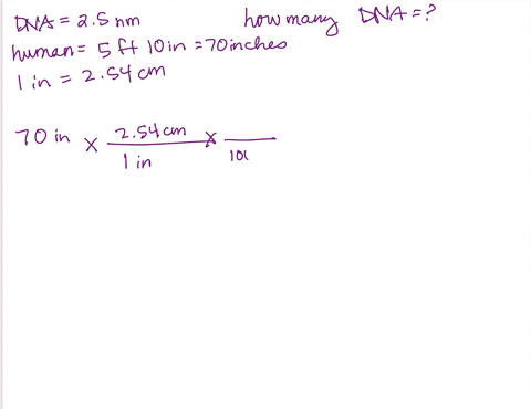 basic-laboratory-techniques-pre-lab-questions-you-should-be-able-to-answer-the-following-questions-before-beginning-this-experiment-what-are-the-basic-units-of-clectric-cunent-time-amount-of-70378