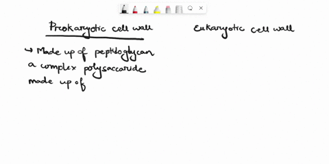 compare-between-the-structure-of-cell-wall-in-prokaryotic-and-eukaryotic-cells-70995