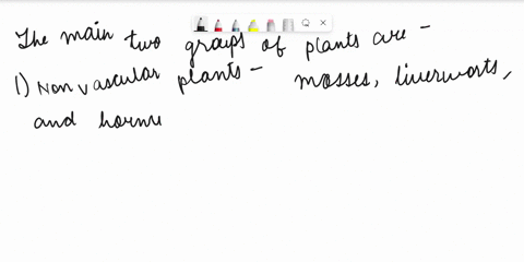 what-are-two-main-groups-of-plants-70927