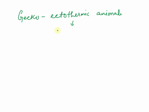 a-gecko-is-a-reptile-how-does-a-a-gecko-most-likely-respond-to-cold-air-temperatures-53504