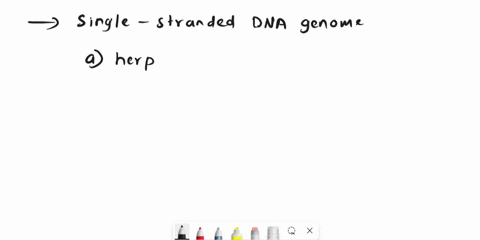 which-virus-listed-below-has-a-single-stranded-dna-genome-a-herpesviruses-b-rabies-virus-c-reovirus-d-parvovirus-e-retrovirus-81964