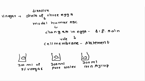 some-students-used-vinegar-to-dissolve-away-the-shells-of-three-eggs-and-used-these-eggs-as-models-of-human-red-blood-cells-the-students-observed-the-changes-in-the-eggs-when-they-were-place-60205