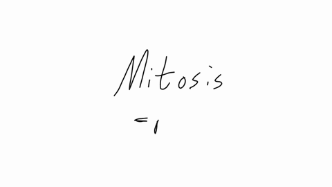 chromosomes-are-lined-up-in-the-middle-of-the-cell-during