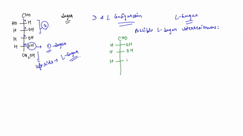 given-the-following-structure-how-many-l-sugar-stereoisomers-are-there-cho-ho-h-oh-h-oh-h-oh-chzoh-37323