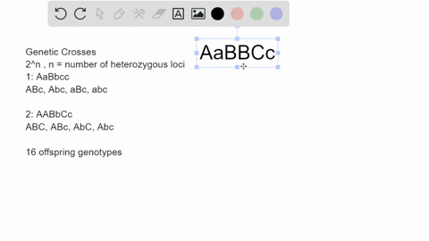 if-you-cross-aabbcc-with-aabbcc-what-proportion-of-the-progeny-will-be-aabbcc-55776