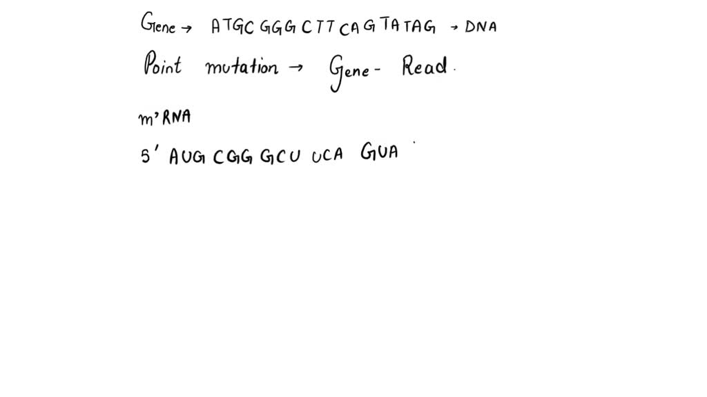 SOLVED Suppose A Gene Has The Sequence ATGCGGGCTTCAGTATAG A Point Mutation Changes The Gene To