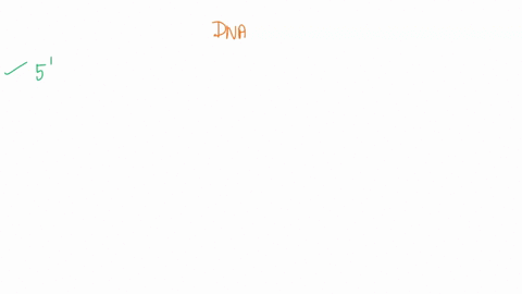 part-of-one-strand-of-a-double-helical-dna-molecule-has-the-sequence-5-gattacagccttagttaaattctaaggctggta-3-awrite-out-the-sequence-of-the-complementary-strand-of-dna-3-points-3-ctaatgtcggaat-81132