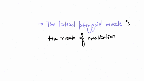 which-muscle-of-mastication-moves-the-mandible-from-side-to-side