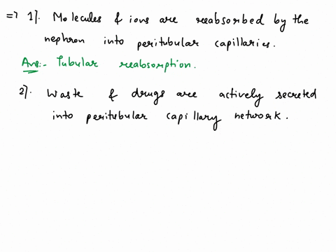match-each-description-t0-the-urine-formation-process-it-describes-tubular-secretion-tubular-reabsorption-glomerular-filtration-molecules-and-ions-are-reabsorbed-by-ihe-nephron-into-the-pent-91927