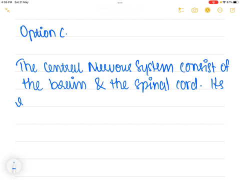 the-central-nervous-system-includes-a-the-brain-spinal-cord-and-cranial-nerves-b-only-the-brain-c-the-brain-and-the-spinal-cord-d-the-brain-spinal-cord-cranial-nerves-and-spinal-nerves-86071