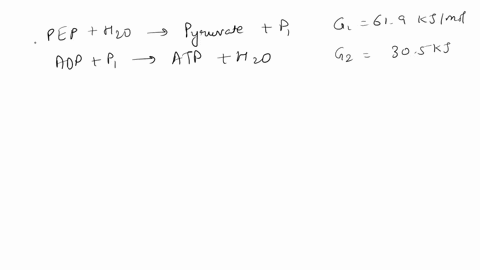 5_-phosphoenolpyruvate-pep-is-one-of-the-two-phosphate-group-donors-in-the-synthesis-of-atp-during-glycolysis-in-human-erythrocytes-the-steady-state-concentrations-f-atpadp-and-pyruvate-are-34198