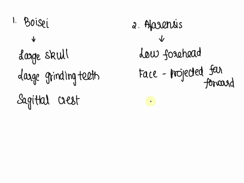 2-using-these-fossils-fill-in-the-following-chart-boisei-afarensis-a-front-tooth-incisors-and-canines-relative-size-smallerlarger-b-back-tooth-premolars-and-molars-relative-size-smallerlarge-20931