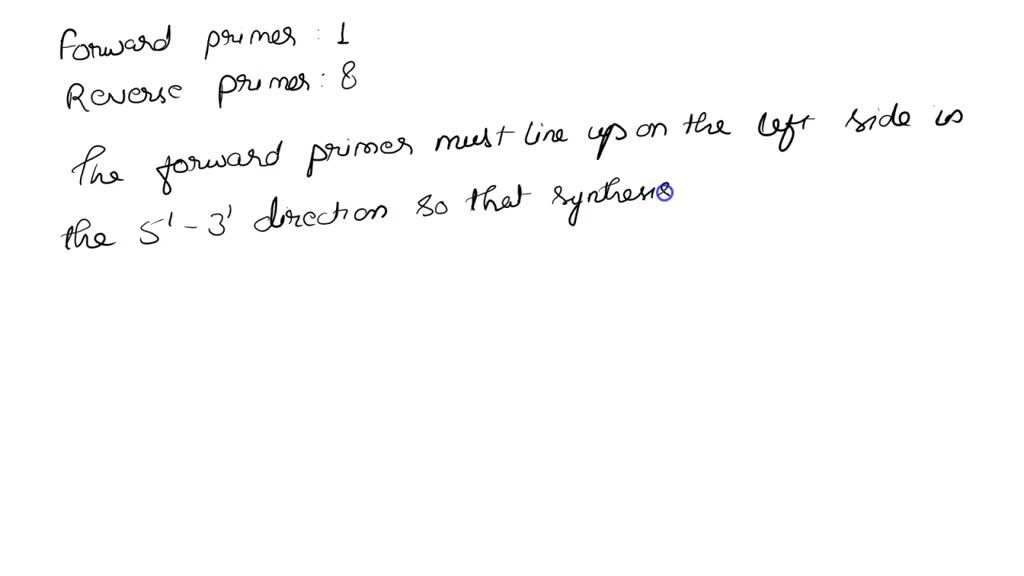 SOLVED: You want to amplify the DNA between the two stretches of ...