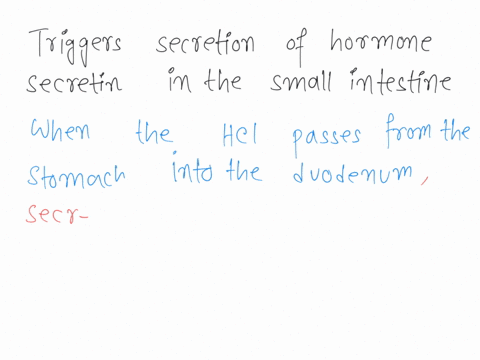 what-triggers-secretion-of-the-hormone-secretin-in-the-small-intestine-a-glucose-in-the-small-intestine-b-acid-entering-the-small-intestine-c-starch-in-the-small-intestine-d-protein-in-the-s-09501