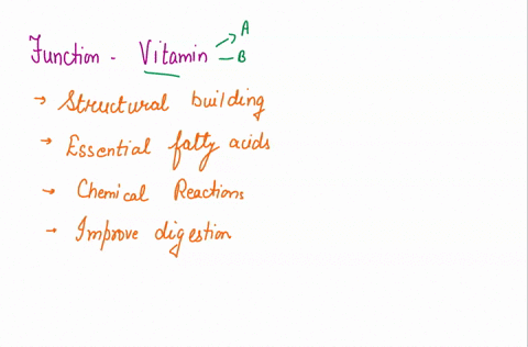 the-main-function-of-vitamins-is-to-group-of-answer-choices-provide-the-main-structural-building-blocks-of-the-body-provide-essential-fatty-acids-enable-chemical-reactions-in-the-body-to-occ-42766
